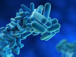 洗眼器廠家所說：Legionella